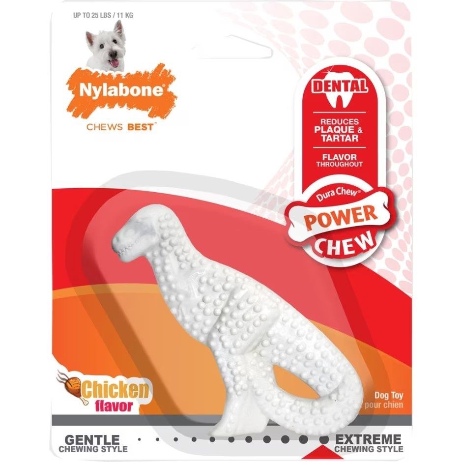 NYLABONE POWER CHEW DENTAL DINO, Flavor: Chicken, Size: Reg
