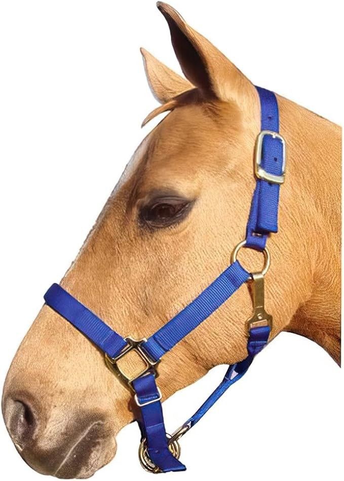 PREM. HALTER CHIN BLUE
