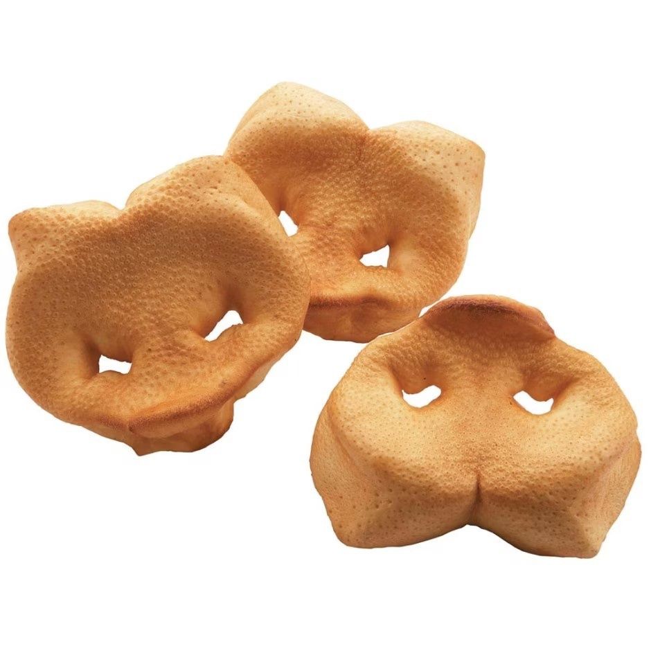 REDBARN NATURALS PIG SNOUT