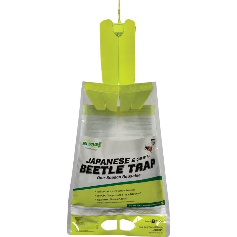 RESCUE JAPANESE &amp; ORIENTAL BEETLE TRAP