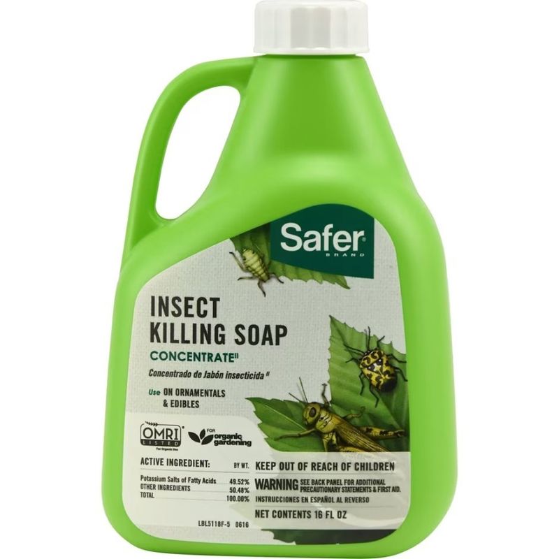 SAFER INSECT KILLING SOAP CONCENTRATE