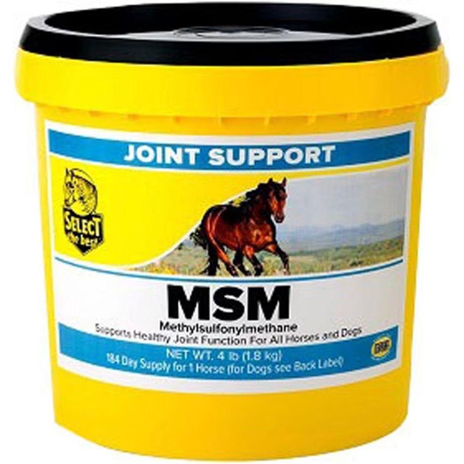 Select The Best MSM Joint Support
