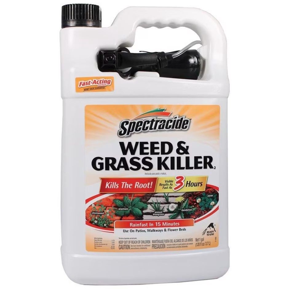 SPECTRACIDE WEED &amp; GRASS KILLER RTU, Size: 1 gal