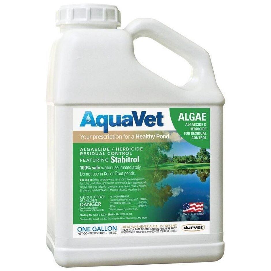 AQUAVET ALGAE CONTROL ALGAECIDE &amp; HERBICIDE, Size: 1-gal