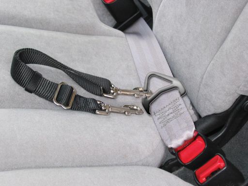 SEAT LEASH ADJUSTABLE 1IN 12