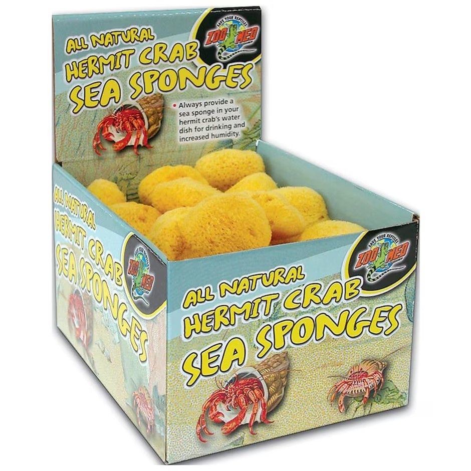 Hermit Crab Sea Sponges