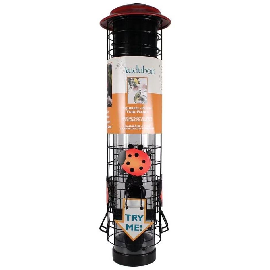 Lady Bug Squirrel Resistant Tube Feeder