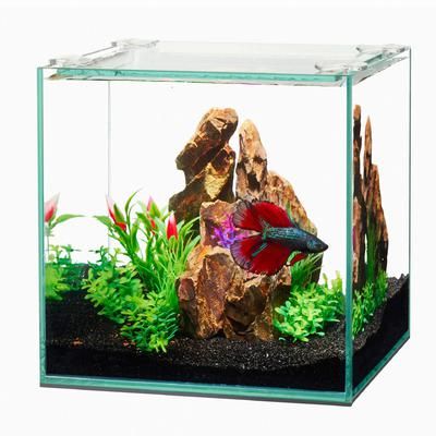 Aqueon Frameless Cube Aquarium, Size: Size 1