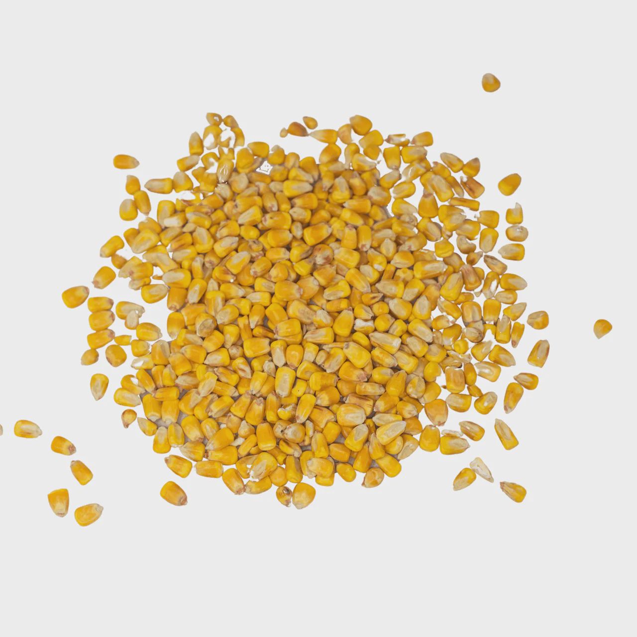 Whole Corn