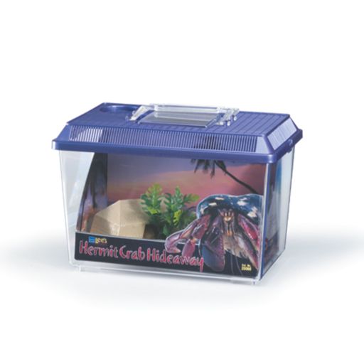 HERMIT CRAB HIDEAWAY KIT 4
