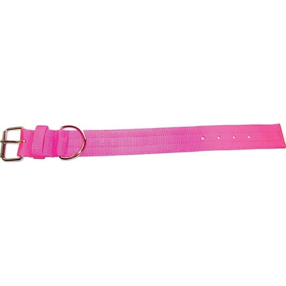 BRAVO 2 PLY NYLON DOG COLLAR