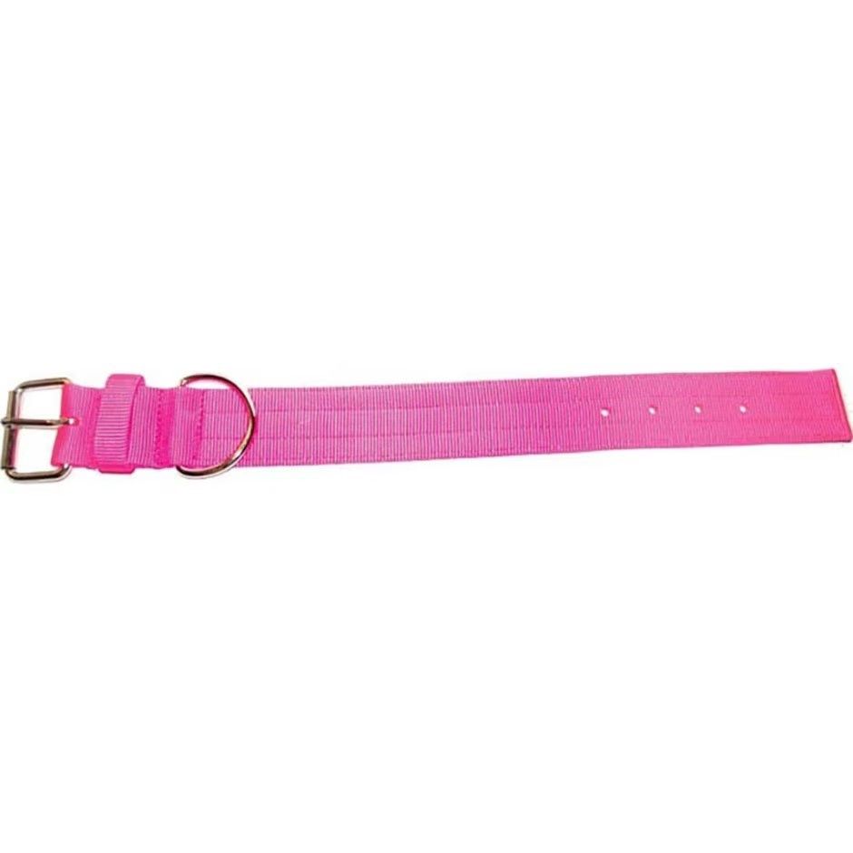 Bravo 2 Ply Nylon Dog Collar 2x21in