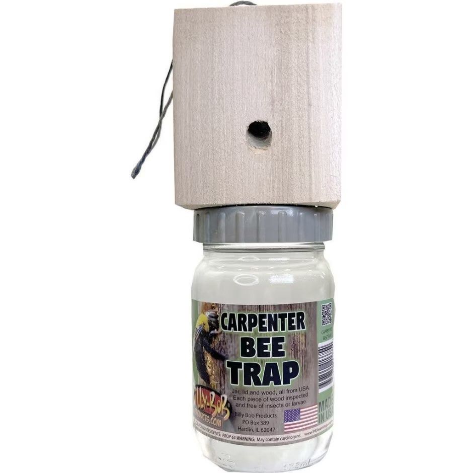Billy-Bob Carpenter Bee Trap