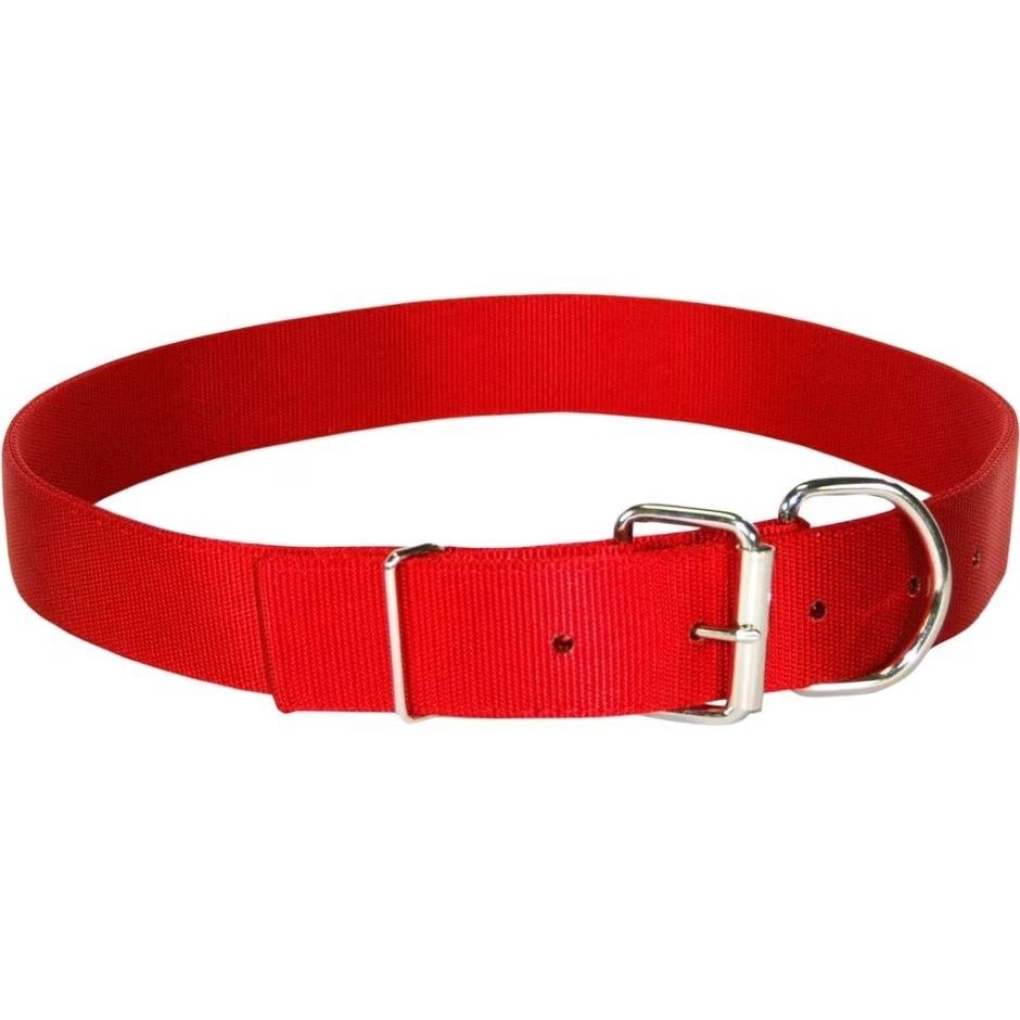 Nylon Cow Collar-Red
