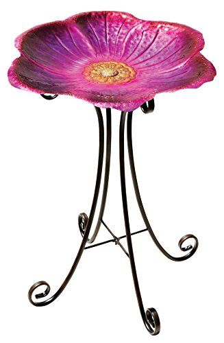 Regal Art &amp; Gift Birdbath with Stand-Flower