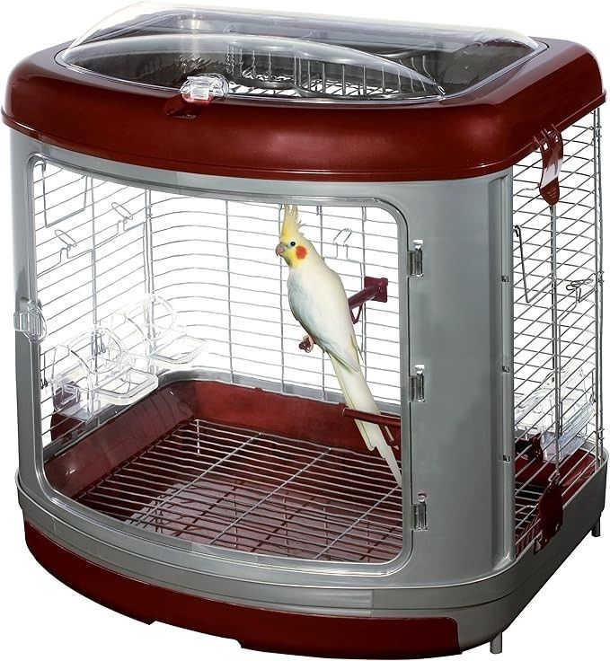 Cockatiel Enrichment Home