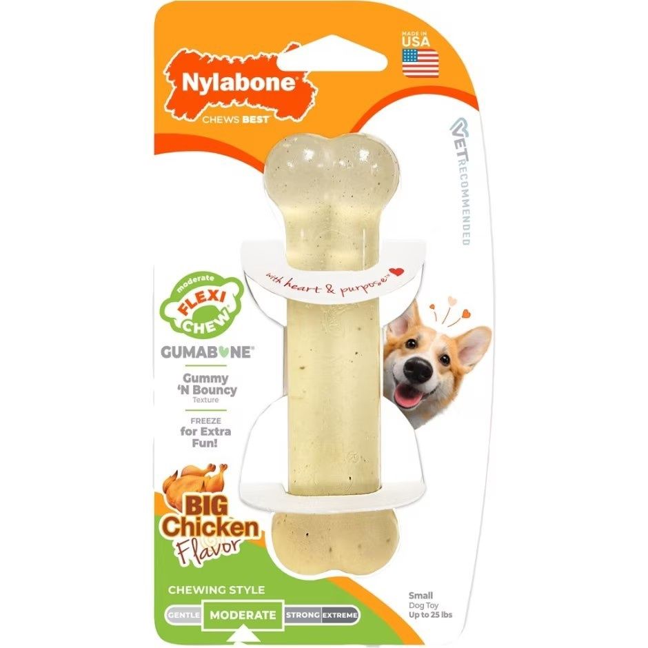 Nylabone Moderate FlexiChew Chicken Flavored Bone Dog Chew Toy  Petite, Size: Extra Small