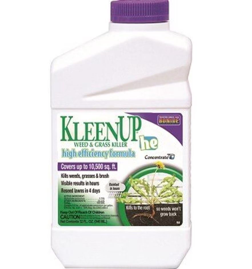 BONIDE KLEENUP HE CONCENTRATE, Size: 1 QT