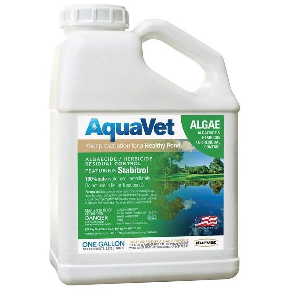 AQUAVET ALGAE CONTROL ALGAECIDE &amp; HERBICIDE, Size: 1-gal