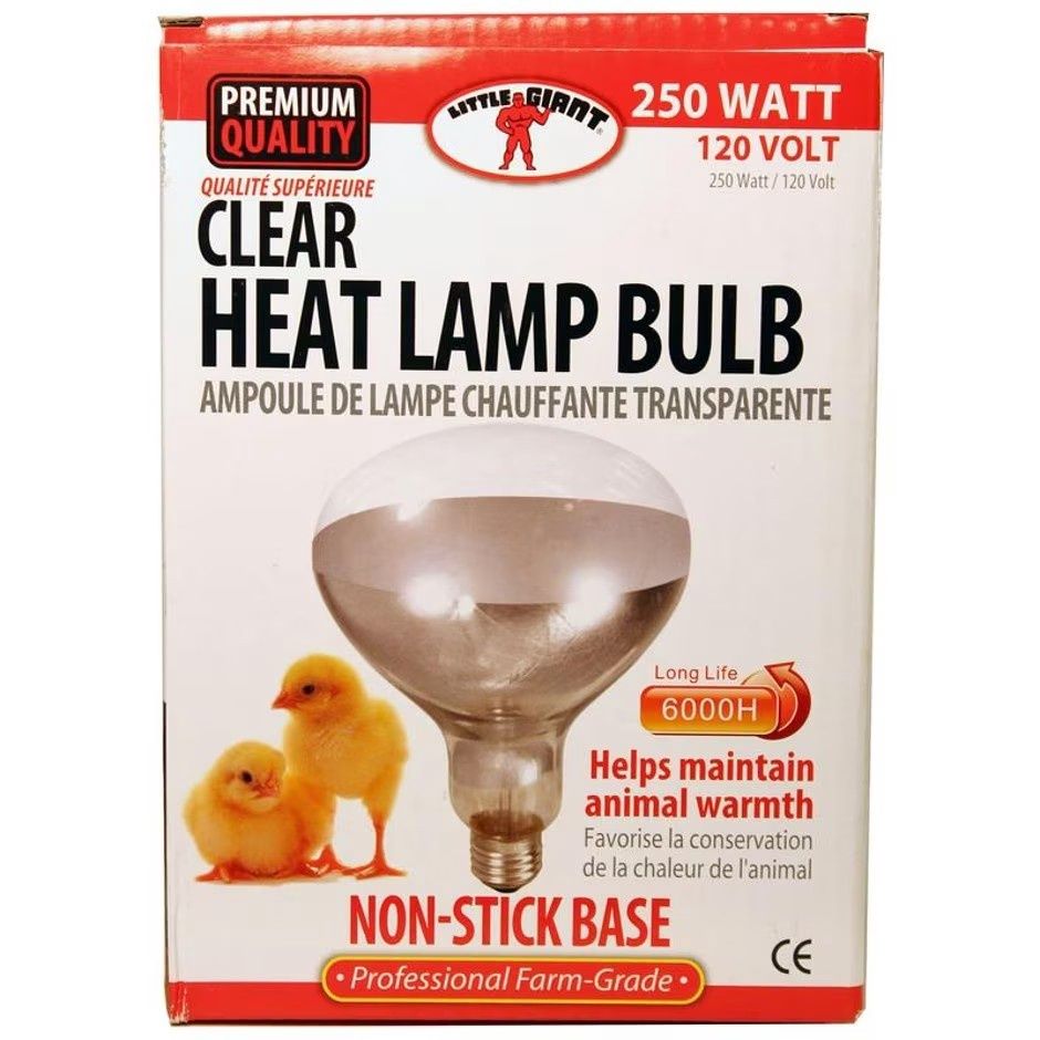 LITTLE GIANT CLEAR HEAT LAMP BULB, Size: 250 WATT