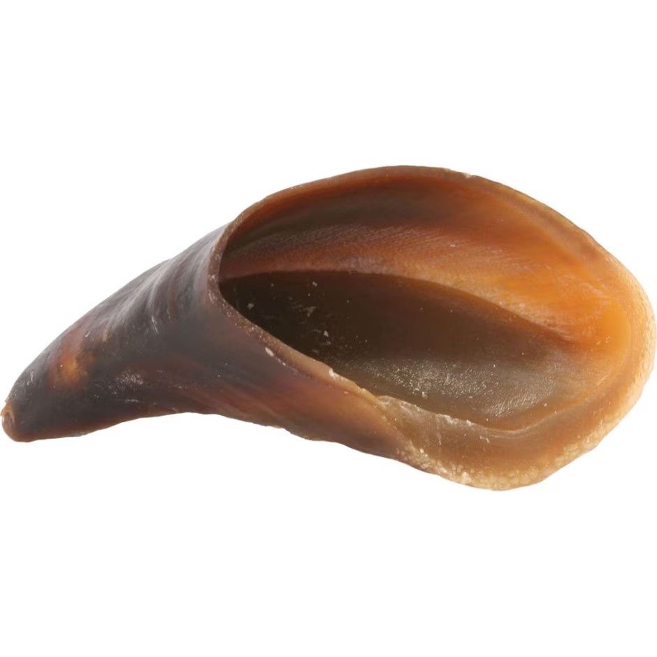 REDBARN NATURALS HOOVES, Size: 3-4 in