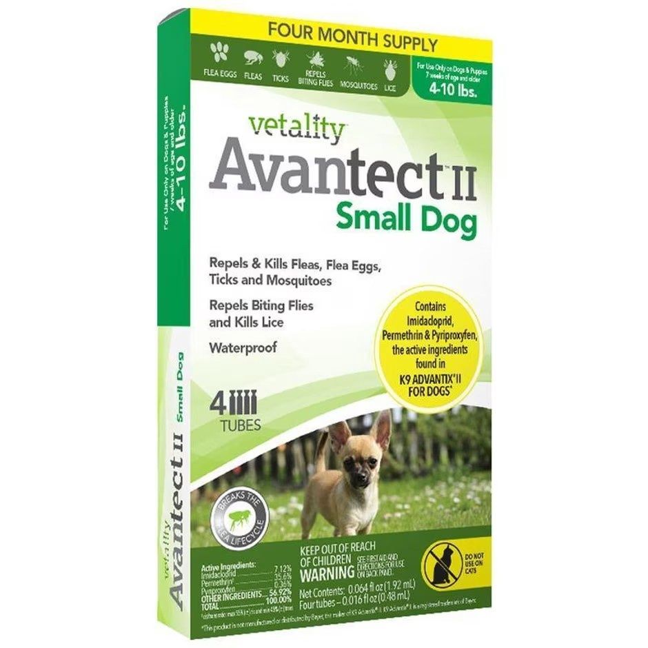 AVANTECT II FOR DOGS, Size: 4-10 lb