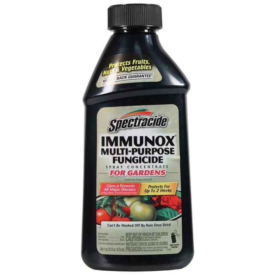 SPECTRACIDE IMMUNOX CONCENTRATE, Size: 16 oz