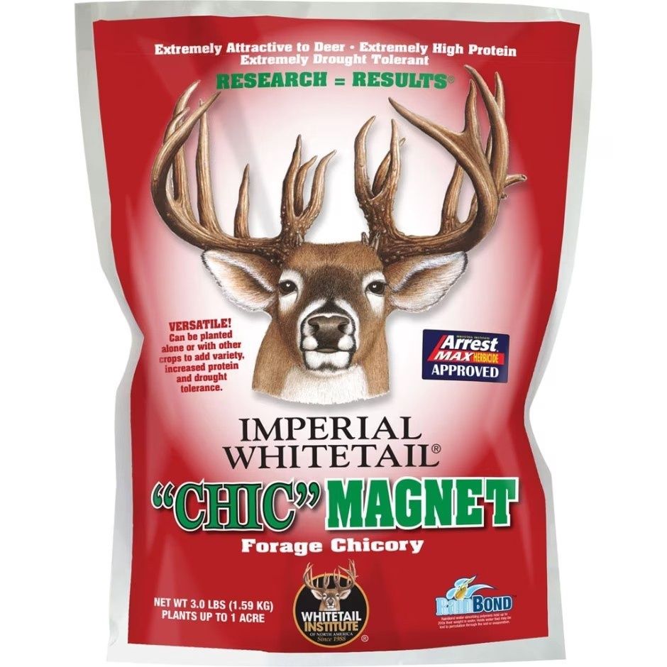 IMPERIAL WHITETAIL CHIC MAGNET FORAGE CHICORY, Size: 3 lb