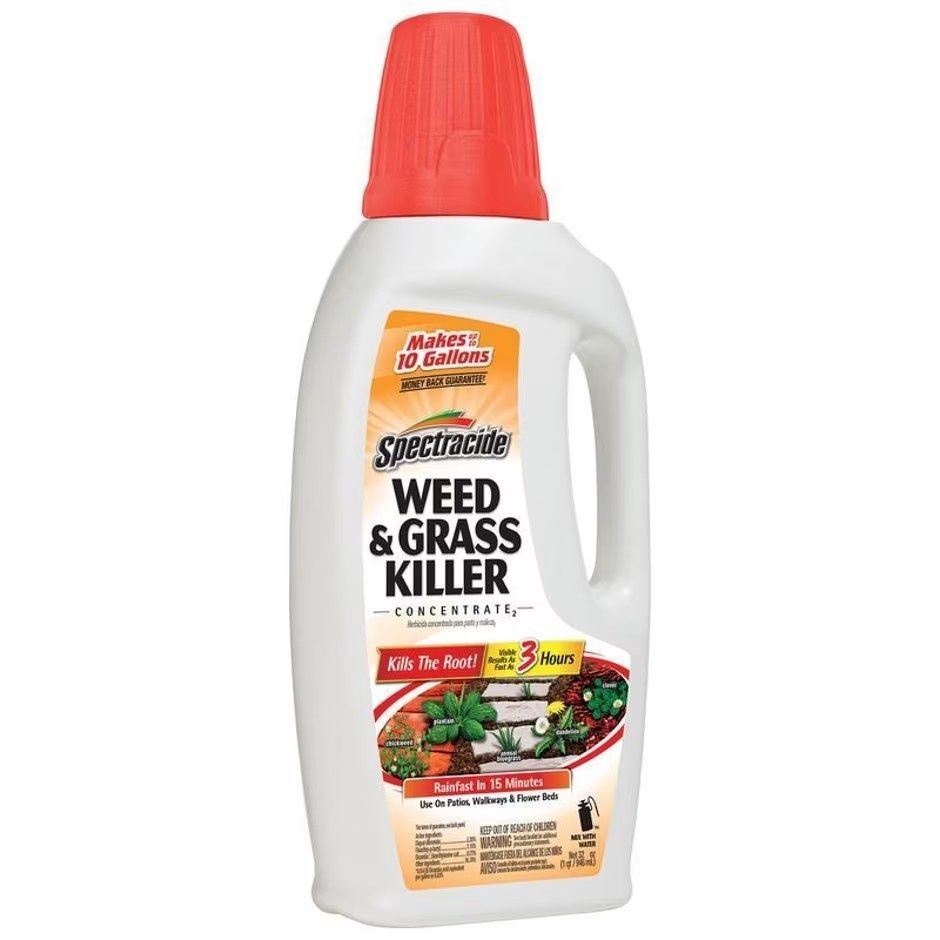 SPECTRACIDE WEED &amp; GRASS KILLER CONCENTRATE, Size: 32 oz