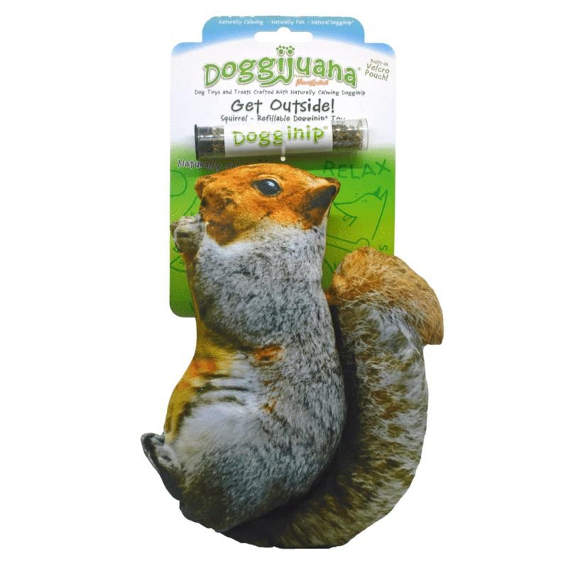 Doggijuana Get Outdoors Squirrel Toy