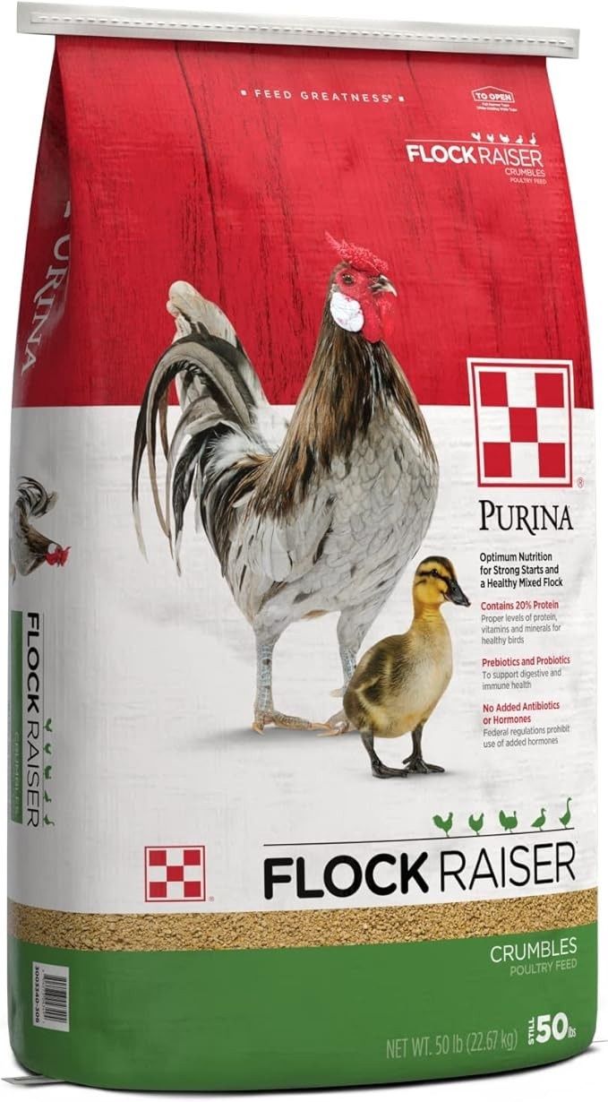 Flock Raiser Crumble 20%, Size: 50 lb