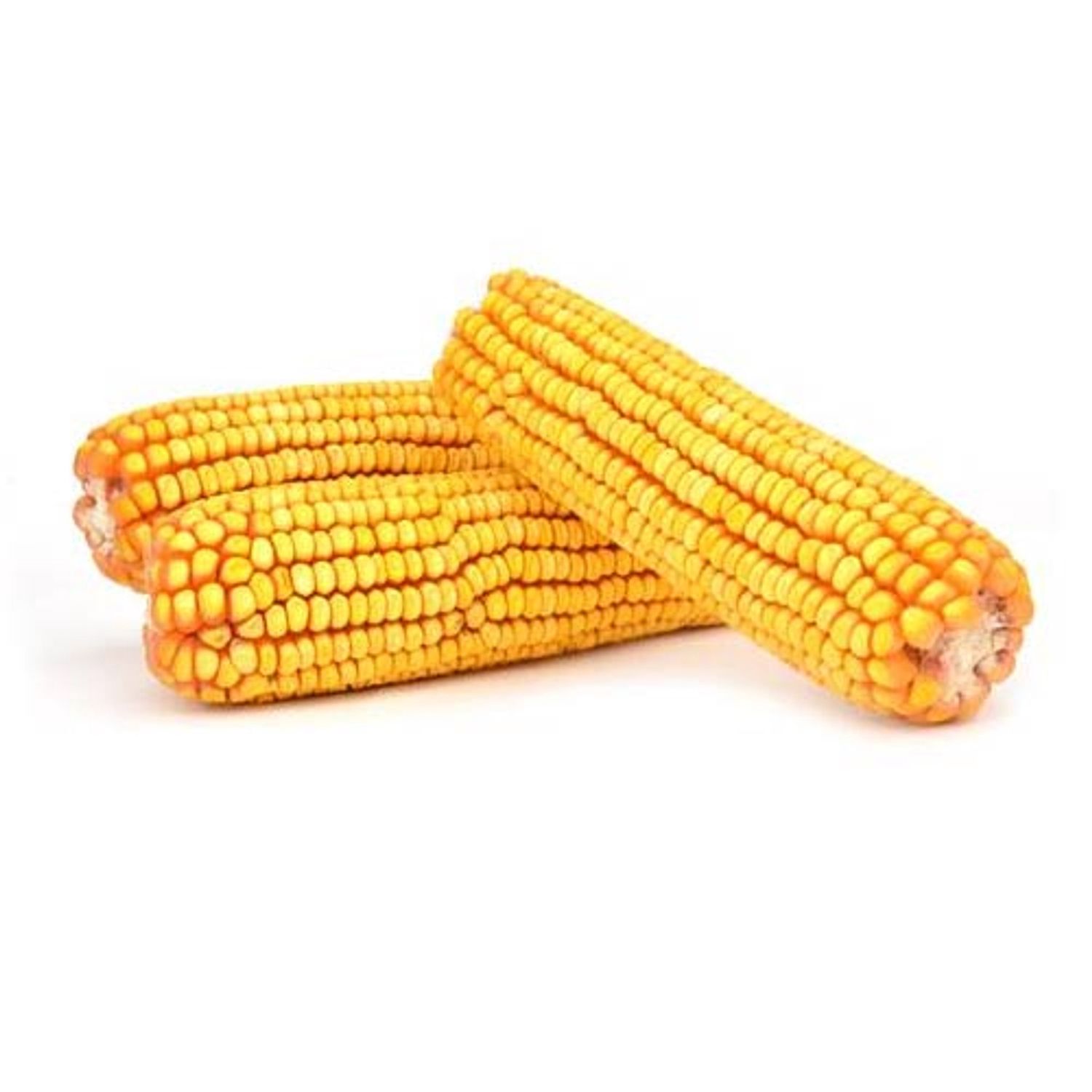 Lizzie Mae - Cobbed/ Ear Corn - 6.5 LB