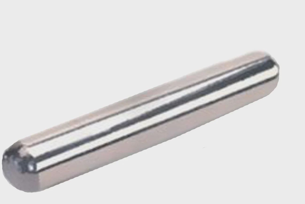 Silver Bullet Cow Magnet 3"