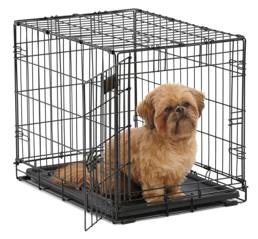 MidWest Homes for Pets Single Door iCrate Metal Dog Crate -24 IN.