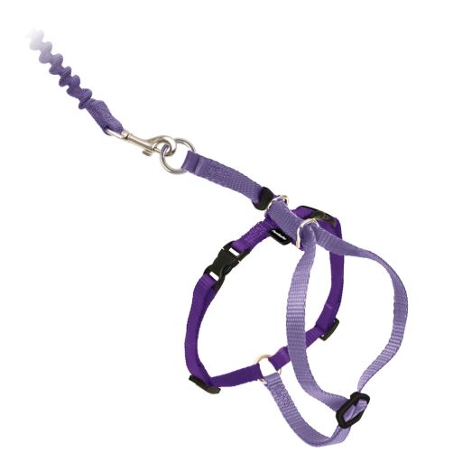 PetSafe Come With Me Kitty Harness and Bungee Leash