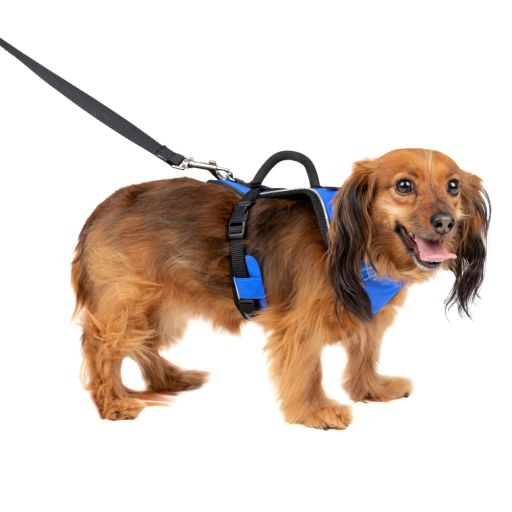 PetSafe EasySport Dog Harness | Great for Runs  Walks  and Hikes | Comfy