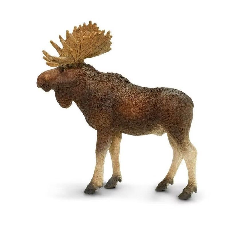 Safari Bull Moose