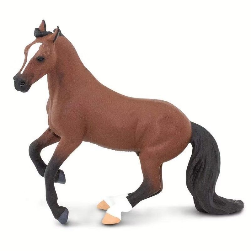 Safari Thoroughbred
