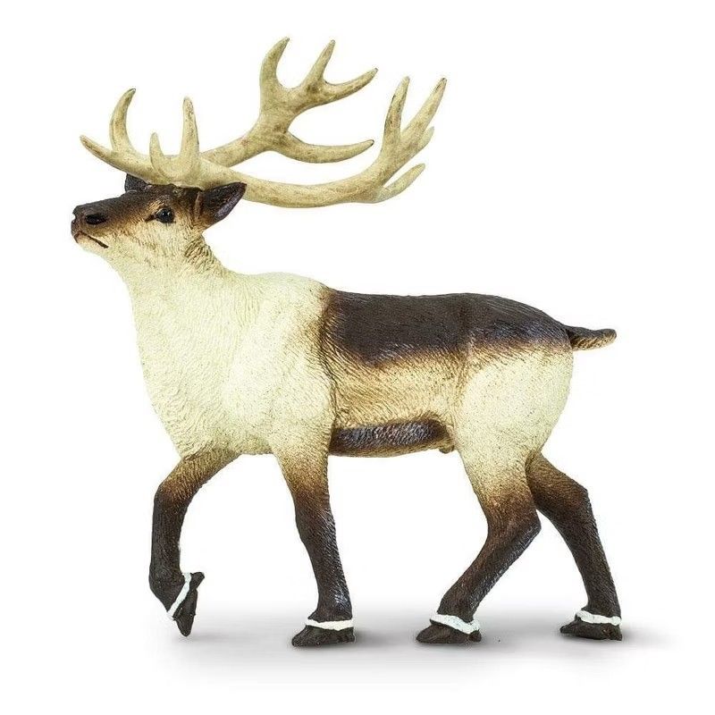 Safari Reindeer