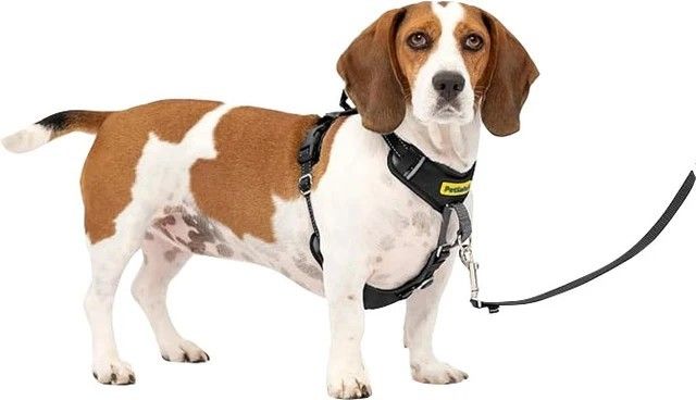 PETSAFE Easy Walk Comfort Harness, Color: Black, Size: SM/MD