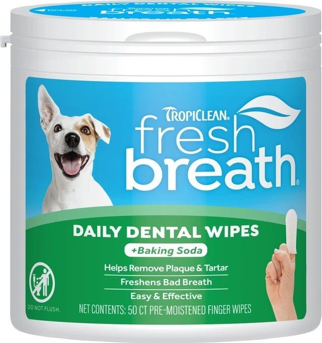 Fresh Breath Daily Dental Wipes-50 Ct