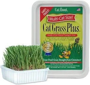 CATABOULT CAT GRASS PLUS 5.25 OZ MIRACLE CARE