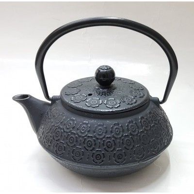 ​Cast Iron Tea Pot 600ml