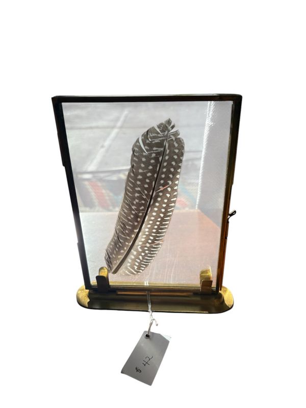 Brass Framed Bird's Feather with Stand