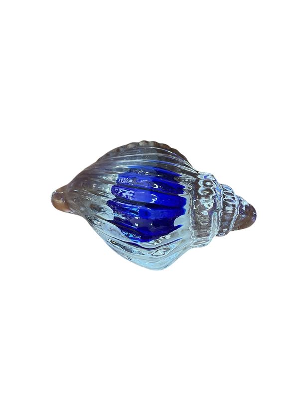 Sea Shell Paperweight