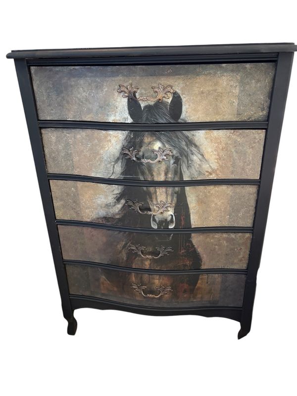 Western Horse Dresser