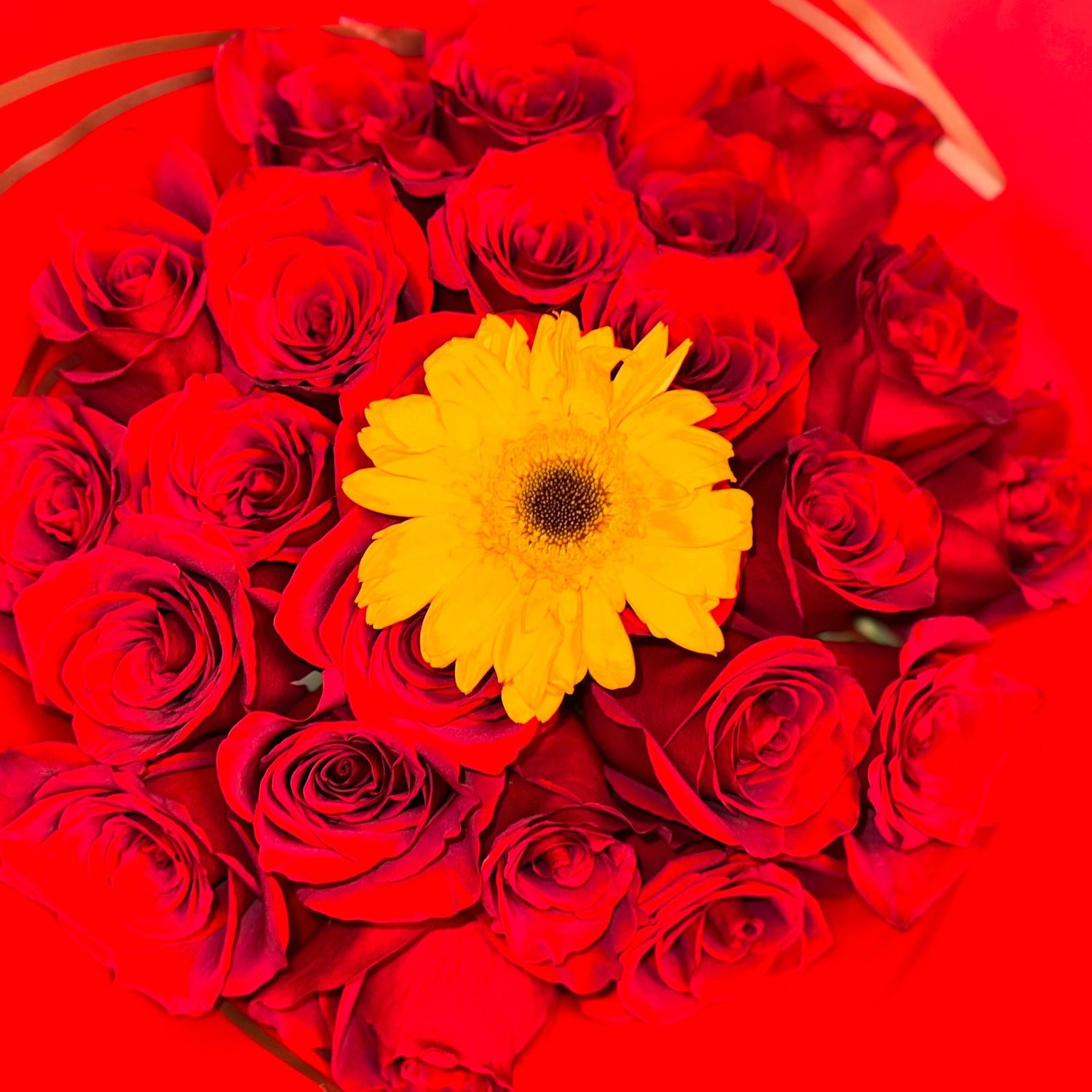 Sunflower &amp; Roses