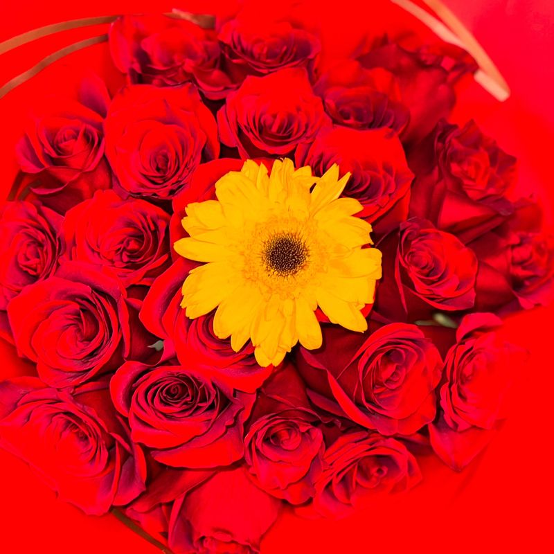 Sunflower &amp; Roses