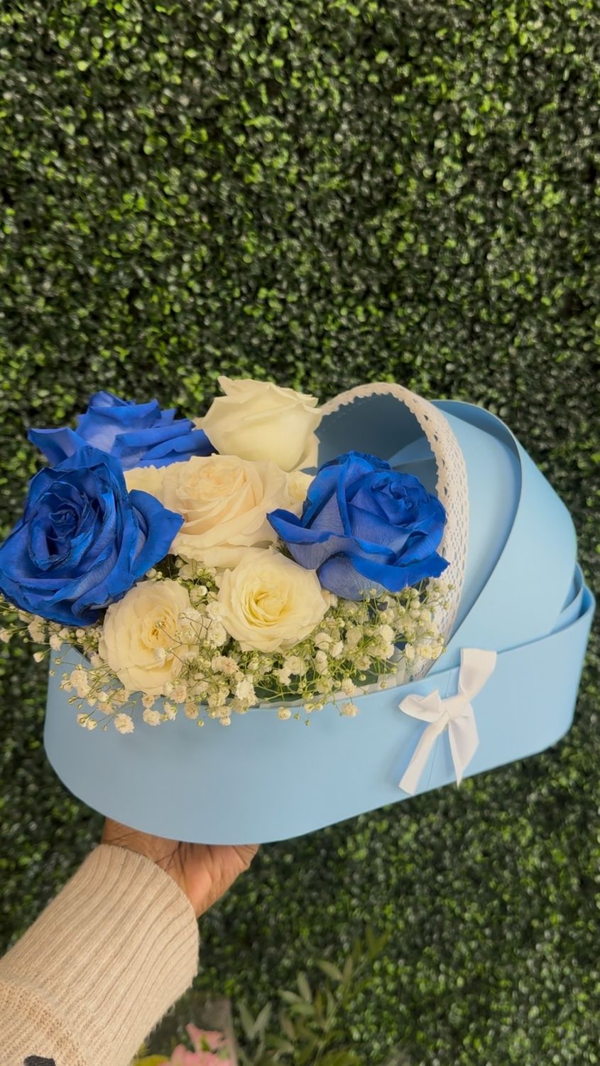 Baby Bassinet