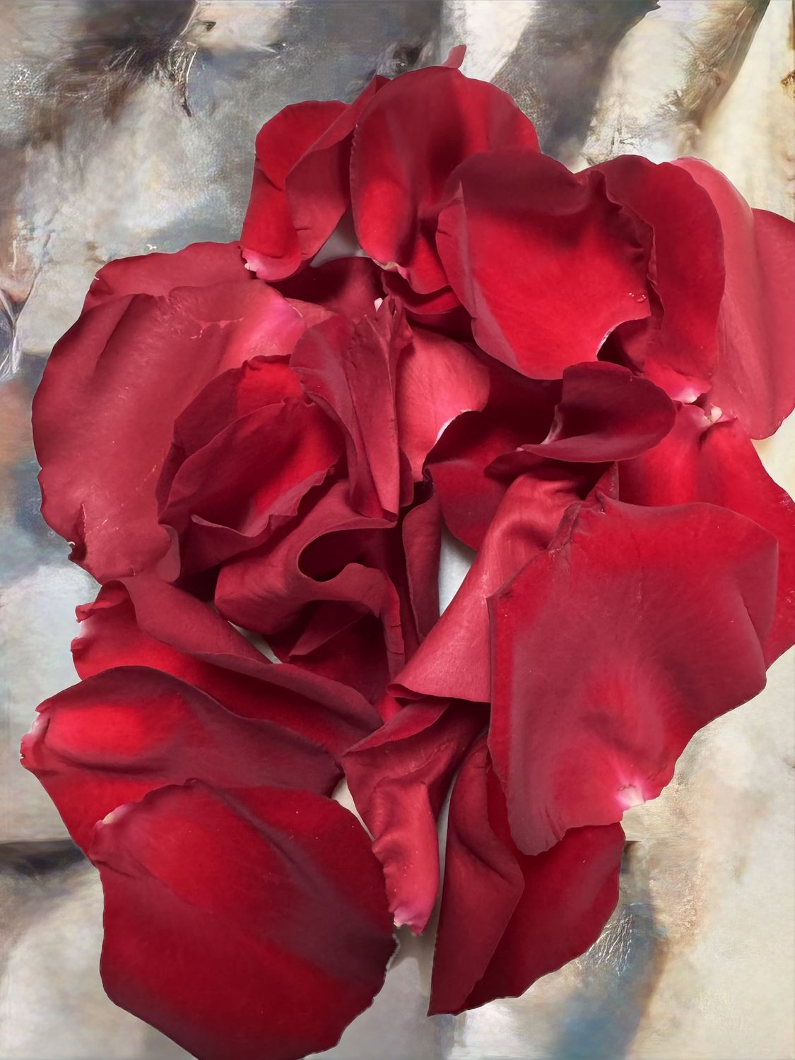 Rose Petals